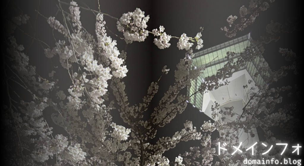 ドメインフォ